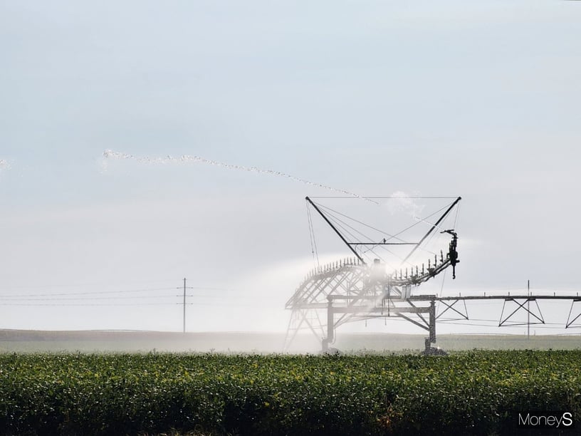 An automated mobile sprinkler is spraying water on a cornfield. / Photo = Reporter Park Chan-gyu